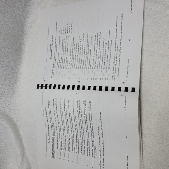 50 Young Adult Novels: Synopses , Worksheets, and Tests - VINTAGE - Picture 11 of 16
